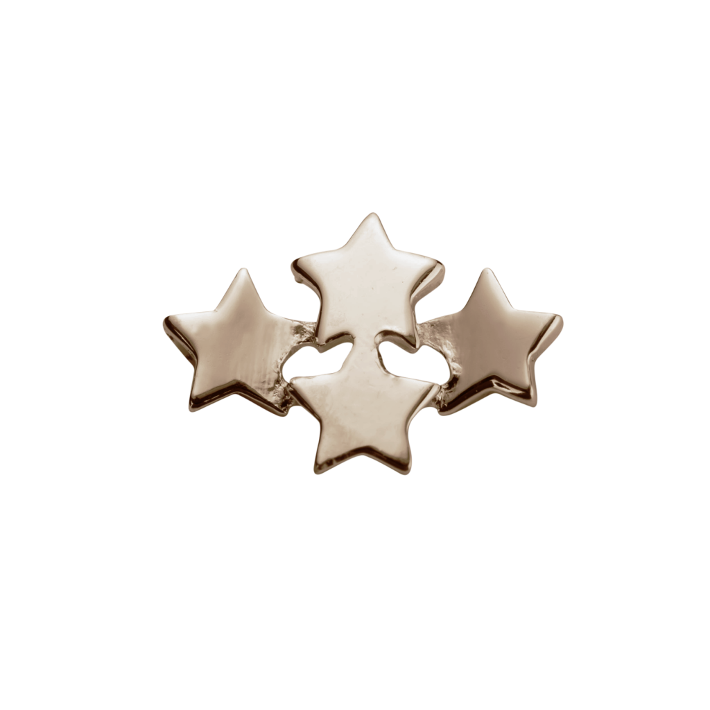 Stow 9ct Rose Wishing Stars Charm