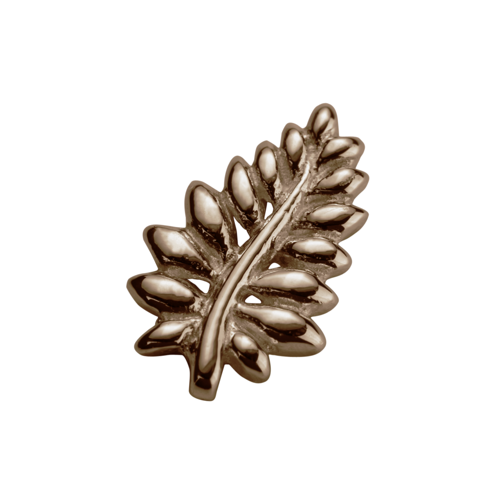Stow 9ct Rose NZ Fern Charm