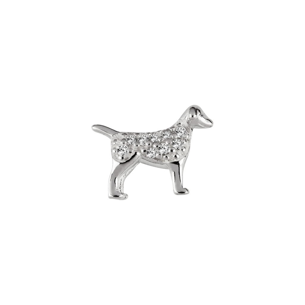 S020001 stow locket dog loyal sterling silver cz 420217