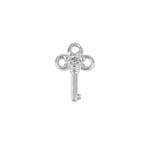 Load image into Gallery viewer, Stow Stg CZ Lucky Key Charm
