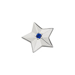 Load image into Gallery viewer, Stow Stg CZ "My Star" Charm
