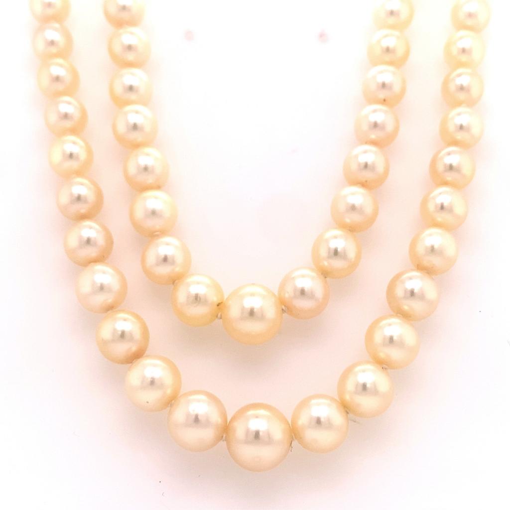 X1506 18ct white gold diamond double strand akoya pearl necklace