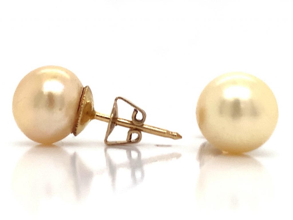 X1506h 18ct akoya pearl stud earrings
